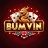 bumvin.org favicon